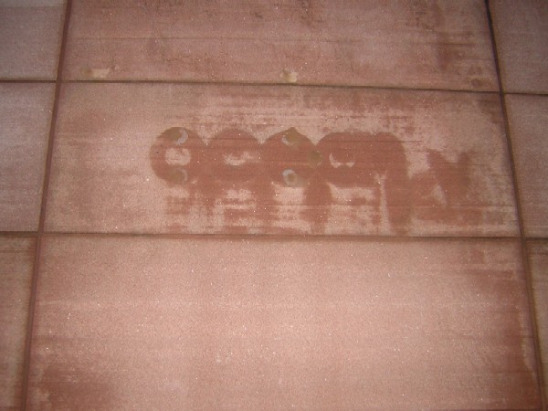 Ocean Logo
